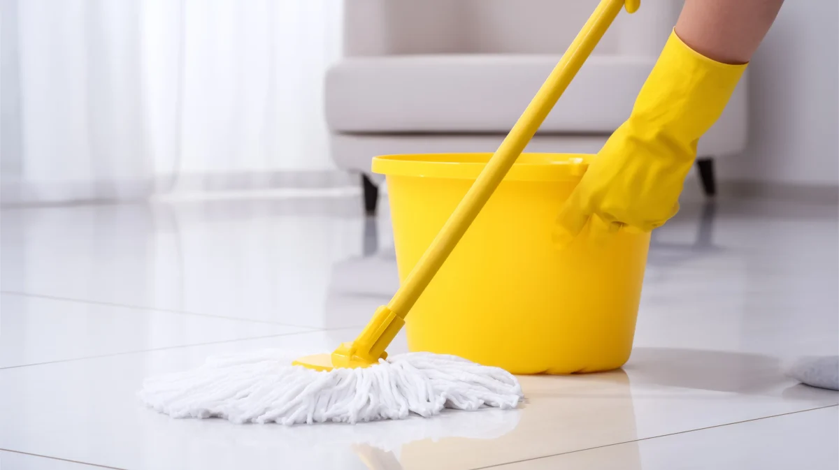 House Cleaning Near Me